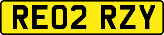 RE02RZY