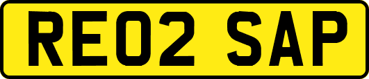 RE02SAP