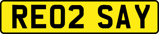 RE02SAY