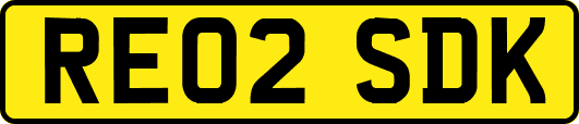 RE02SDK