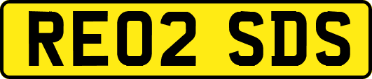 RE02SDS