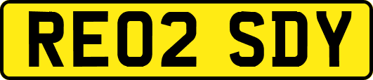 RE02SDY