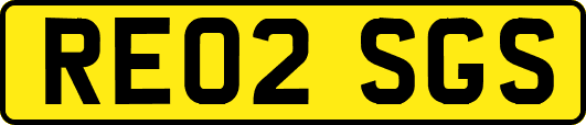 RE02SGS