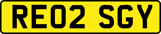RE02SGY