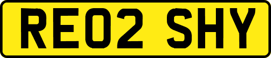 RE02SHY
