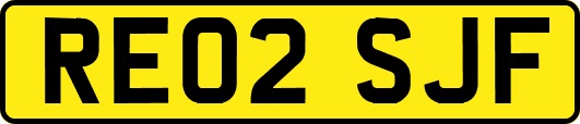 RE02SJF