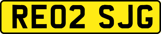 RE02SJG