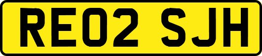 RE02SJH