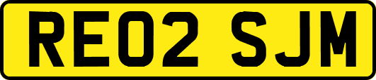 RE02SJM