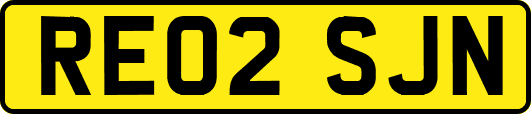 RE02SJN