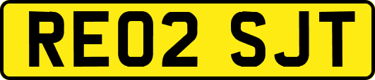 RE02SJT