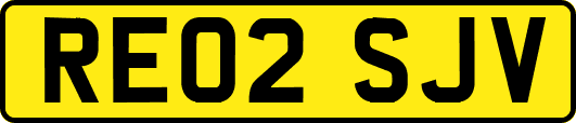 RE02SJV