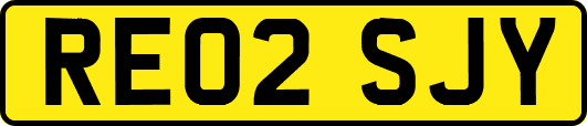 RE02SJY