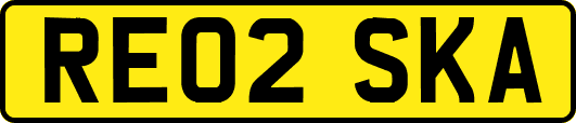 RE02SKA