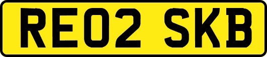 RE02SKB