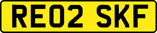RE02SKF
