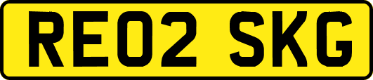 RE02SKG