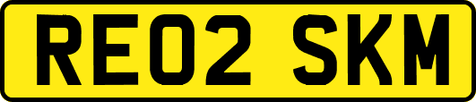 RE02SKM