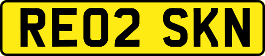 RE02SKN