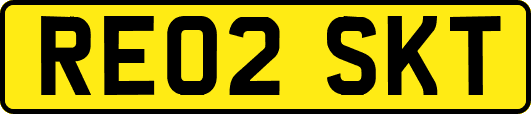 RE02SKT