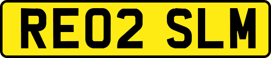 RE02SLM