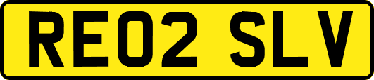 RE02SLV