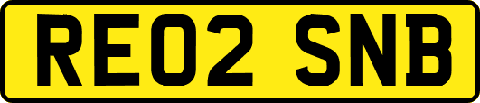 RE02SNB