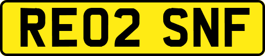 RE02SNF