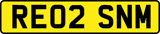 RE02SNM