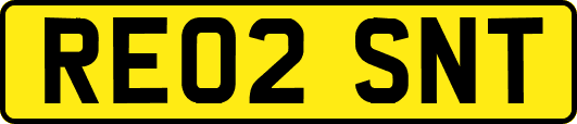 RE02SNT