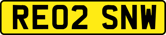 RE02SNW