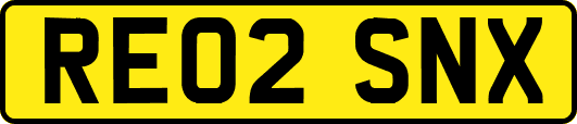 RE02SNX