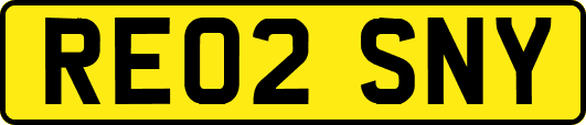 RE02SNY