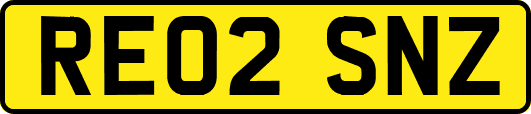 RE02SNZ