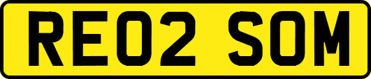 RE02SOM