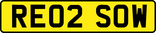 RE02SOW