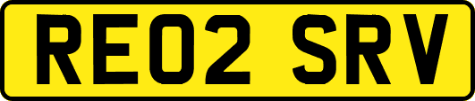 RE02SRV