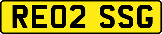 RE02SSG