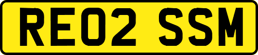 RE02SSM