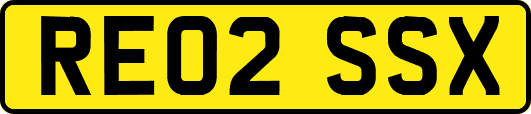 RE02SSX