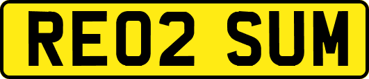 RE02SUM