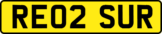 RE02SUR