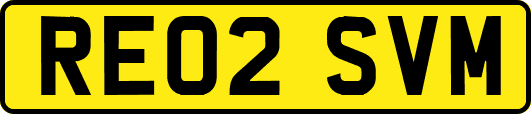 RE02SVM