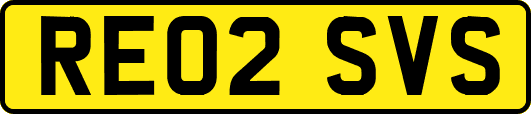 RE02SVS