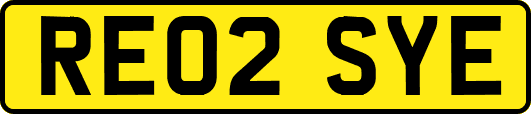 RE02SYE