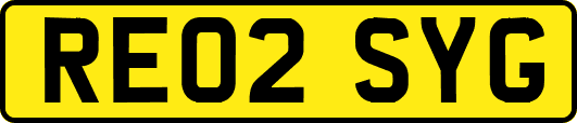 RE02SYG