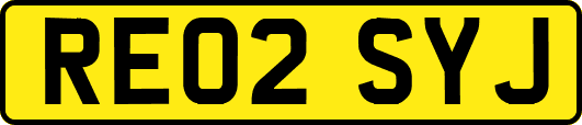 RE02SYJ