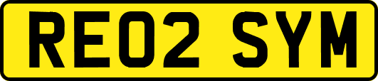 RE02SYM