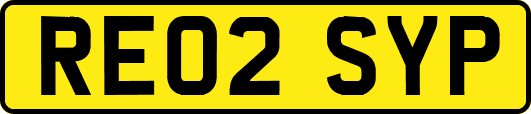 RE02SYP