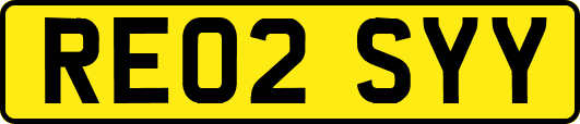 RE02SYY